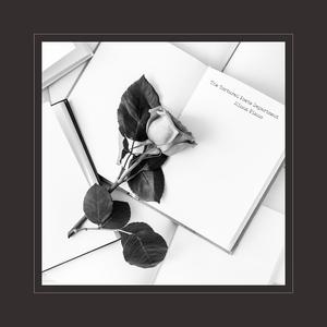 一级簧片aaa免费观看
